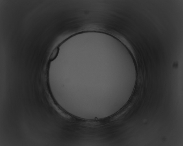 X0000091901053200710031158