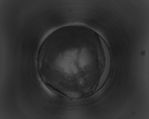 X0000091901054200710031158