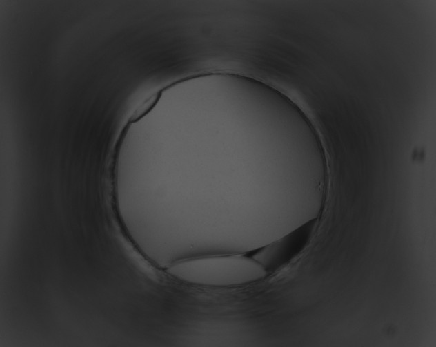 X0000091901056200710031158