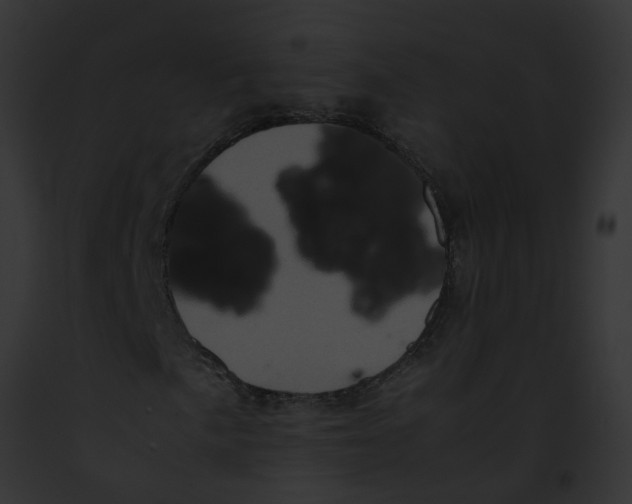 X0000091901057200710031157