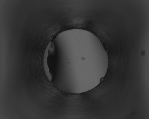 X0000091901058200710031157