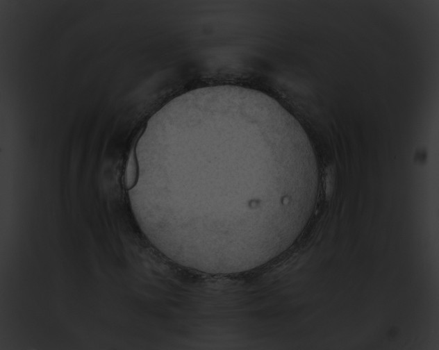 X0000091901059200710031157