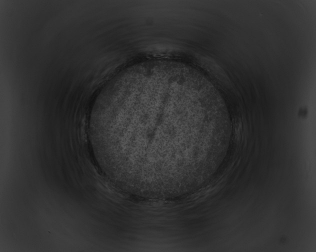 X0000091901060200710031157