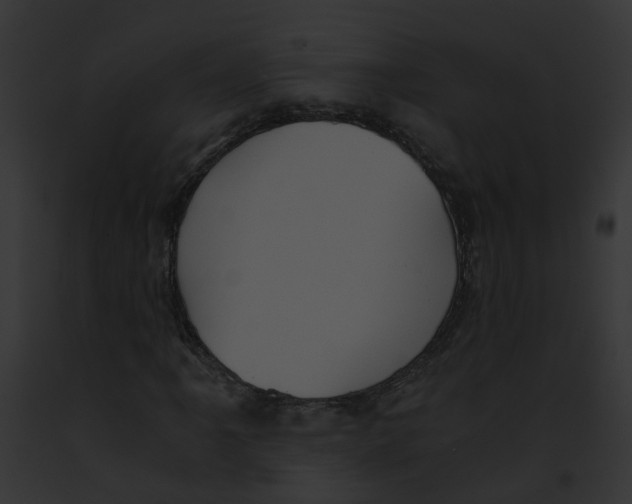 X0000091901061200710031157