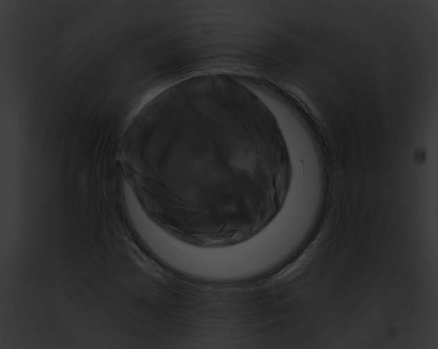 X0000091901065200710031157