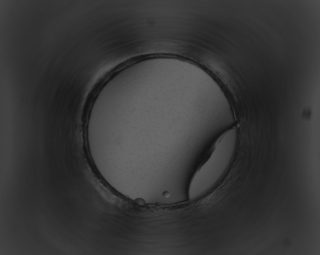 X0000091901072200710031157