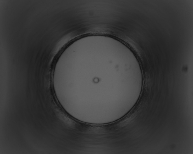 X0000091901075200710031157