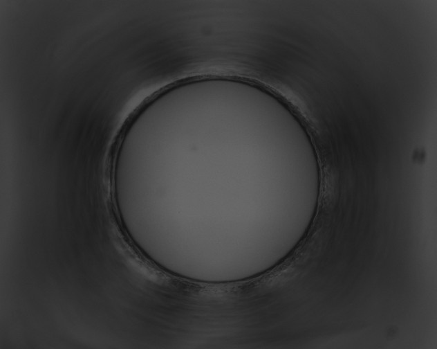 X0000091901078200710031157