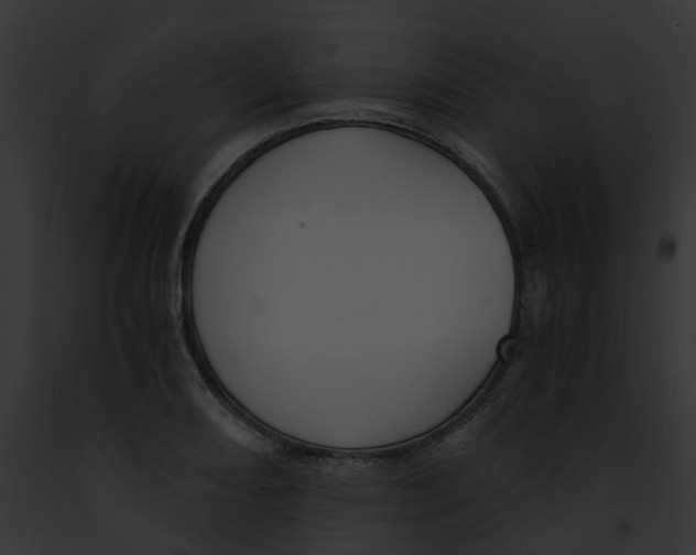 X0000091901082200710031157