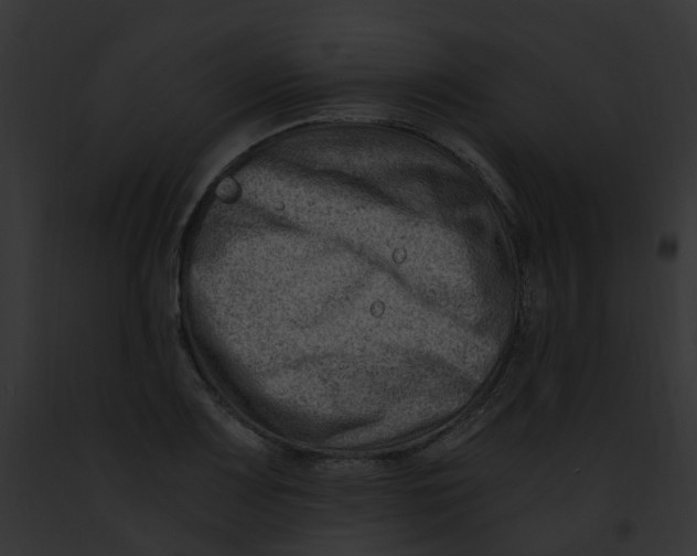 X0000091901083200710031157