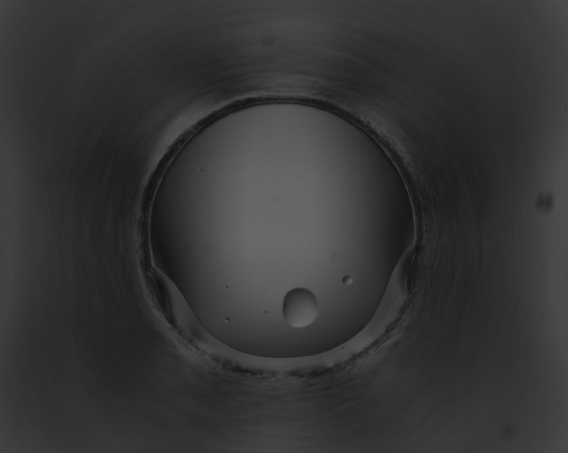 X0000091901085200710031157