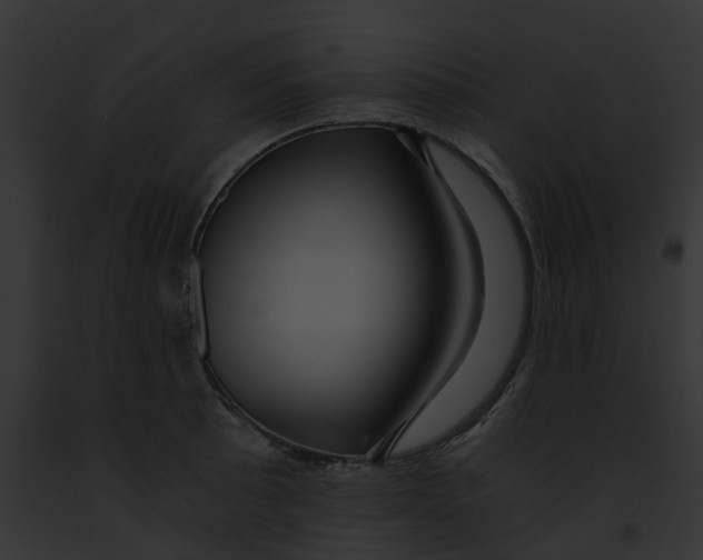 X0000091901089200710031157