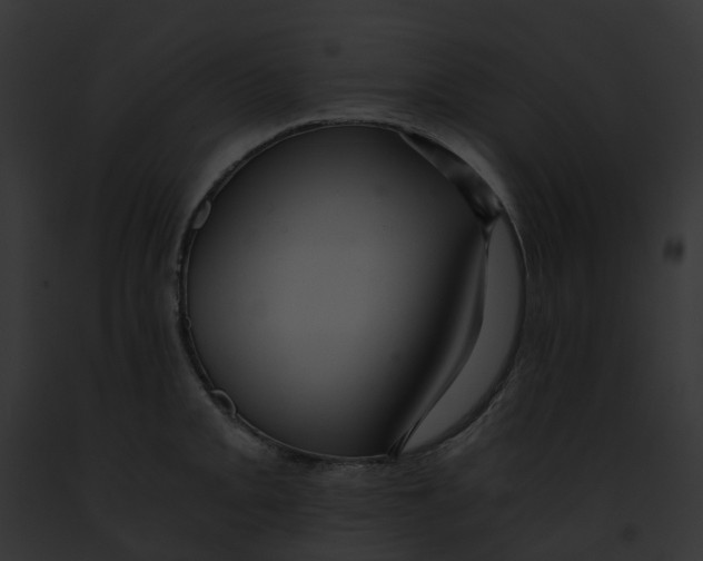 X0000091901093200710031157