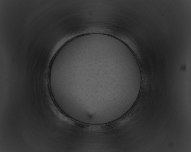 X0000091901094200710031157