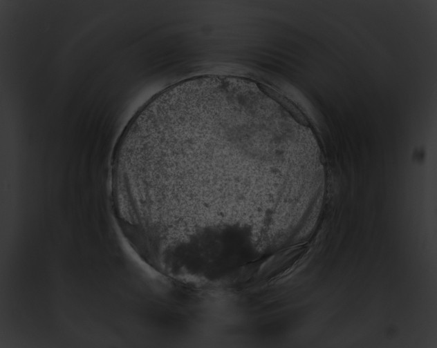 X0000091901095200710031157