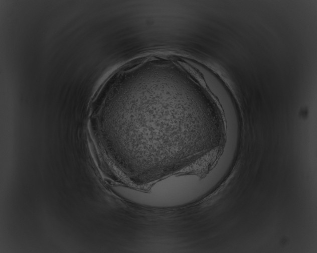 X0000091901097200710031157