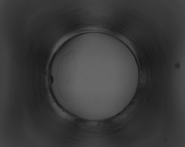 X0000091901098200710031157