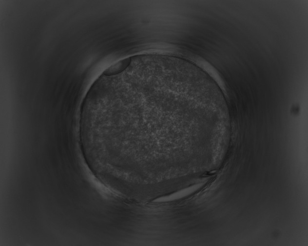 X0000091901099200710031157