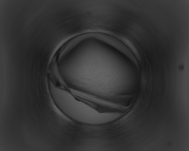 X0000091901100200710031157