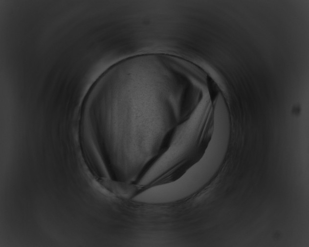 X0000091901102200710031157