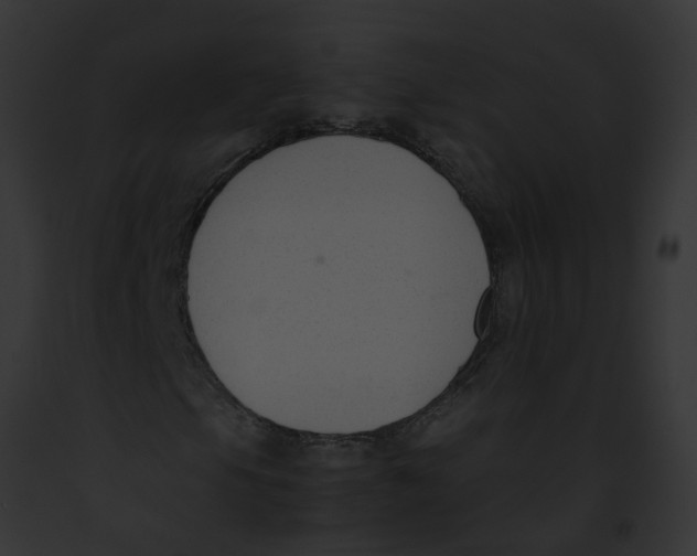 X0000091901105200710031156