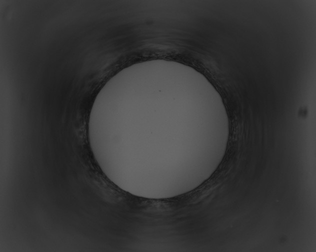 X0000091901109200710031156