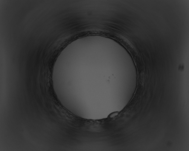 X0000091901111200710031156