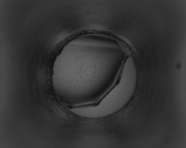 X0000091901112200710031156