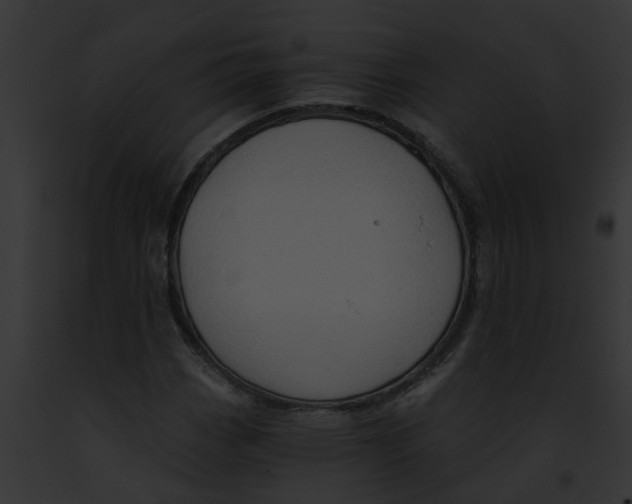 X0000091901113200710031156