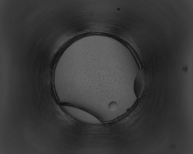 X0000091901115200710031156