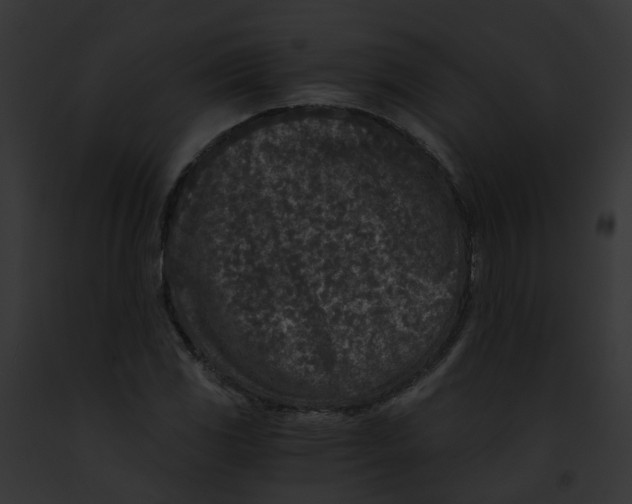 X0000091901117200710031156