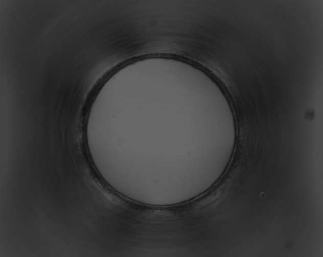 X0000091901119200710031156