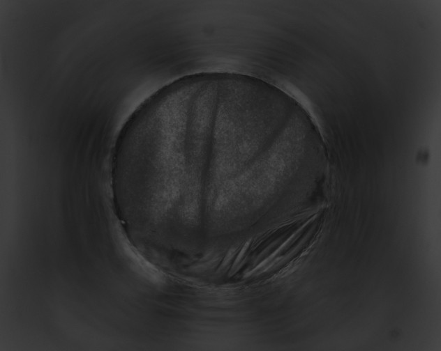 X0000091901120200710031156