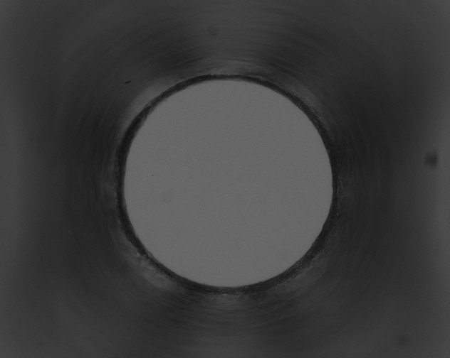 X0000091901122200710031156