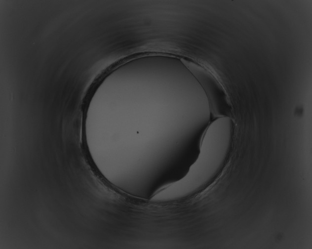 X0000091901123200710031156