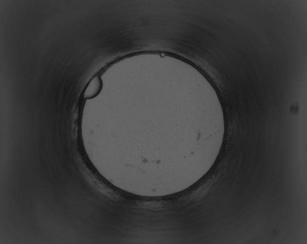 X0000091901126200710031156