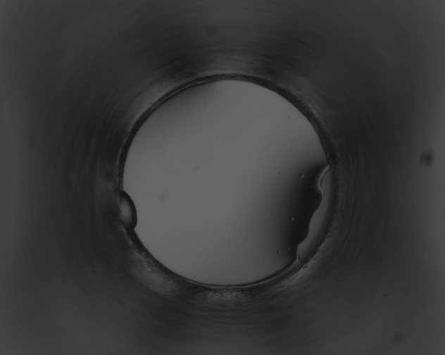 X0000091901129200710031156