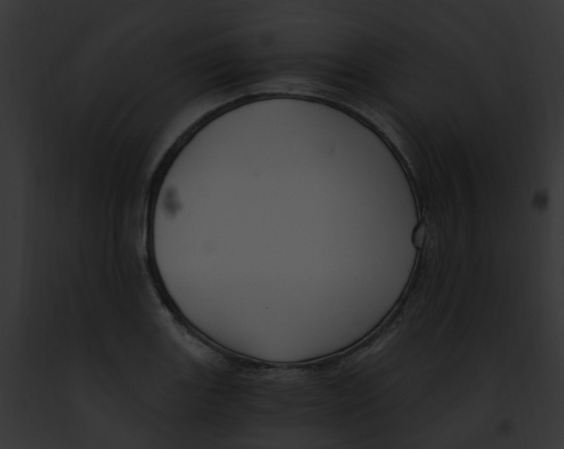 X0000091901131200710031156