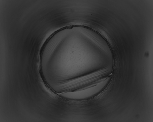 X0000091901132200710031156