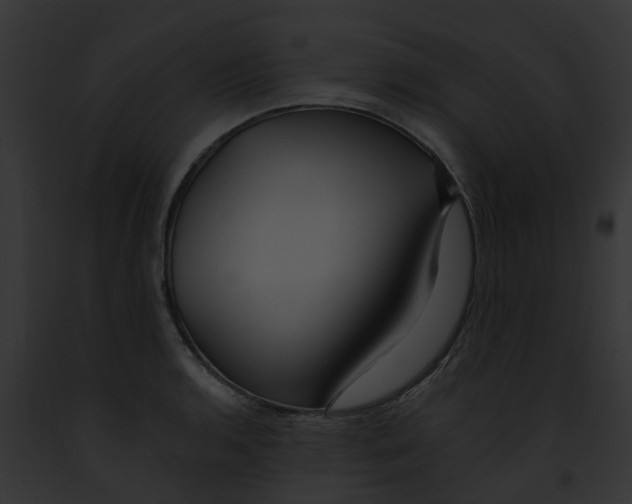 X0000091901136200710031156