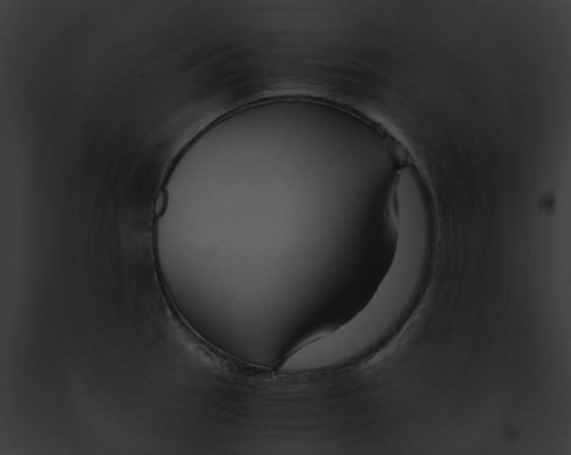 X0000091901137200710031156