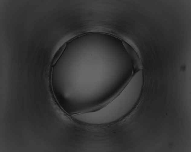 X0000091901138200710031157