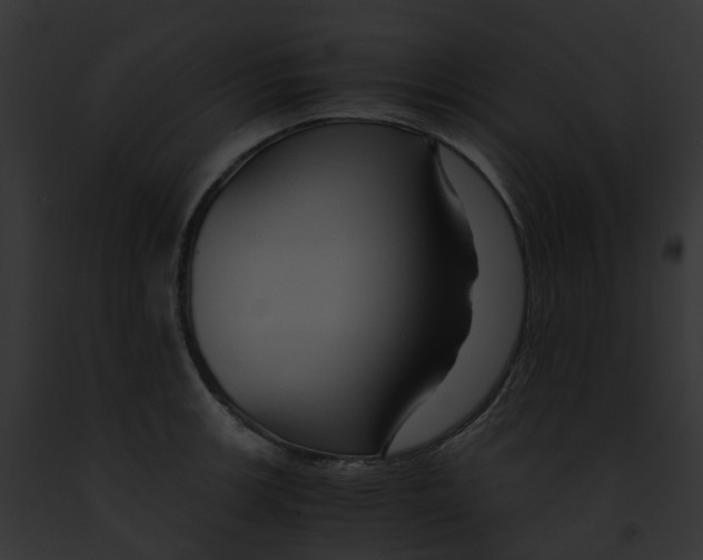 X0000091901139200710031157