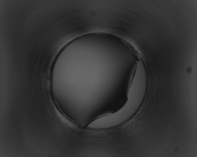 X0000091901143200710031157