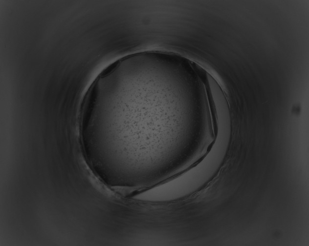 X0000091901148200710031157