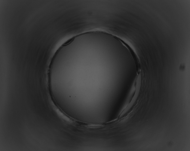 X0000091901151200710031157