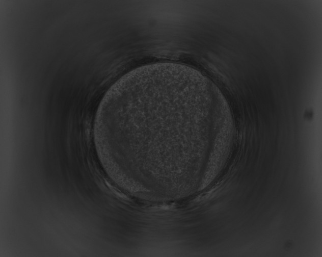 X0000091901154200710031156