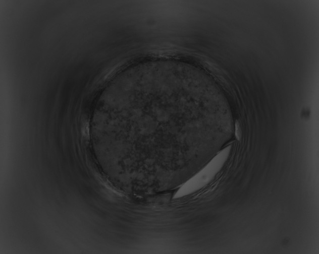 X0000091901155200710031156