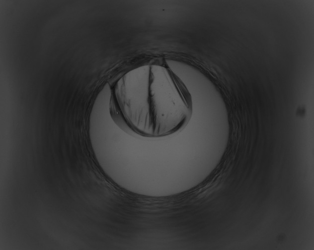 X0000091901156200710031156