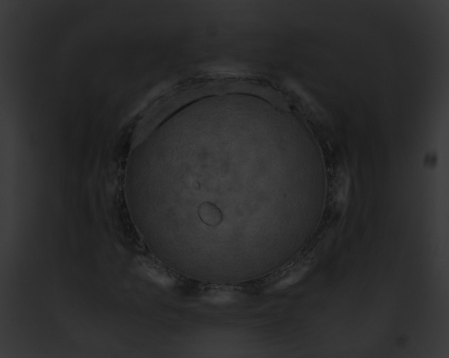 X0000091901157200710031156